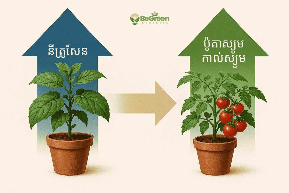 ផ្លាស់ប្តូរសារធាតុចិញ្ចឹម ជួយដោះស្រាយការចេញផ្លែយឺត - BeGreen Dynamics