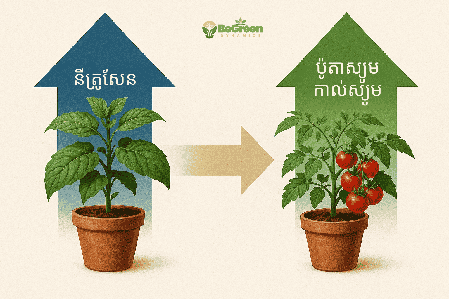 ផ្លាស់ប្តូរសារធាតុចិញ្ចឹម ជួយដោះស្រាយការចេញផ្លែយឺត - BeGreen Dynamics