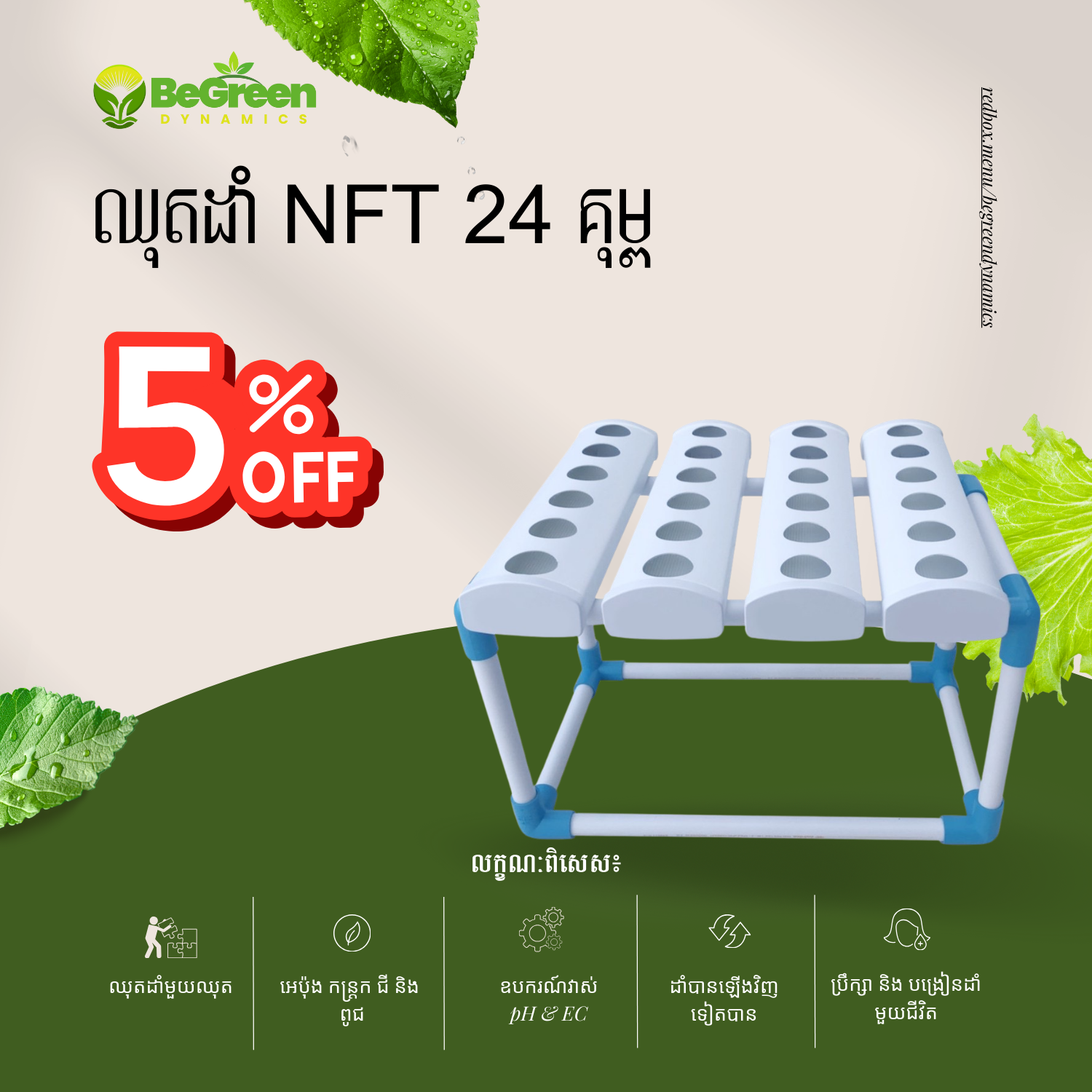 ប្រព័ន្ធដំណាំ NFT 24 រន្ធ