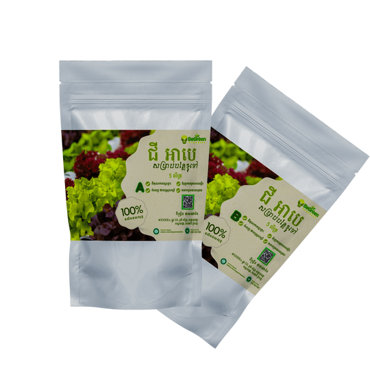 ជី AB Hydroponic សម្រាប់បន្លែស្លឹកទូទៅ