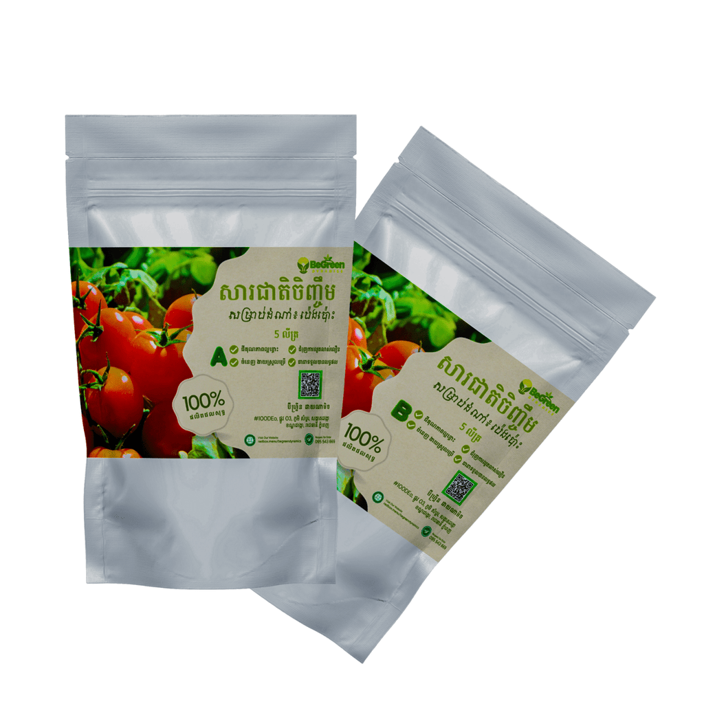 ជីអាបេ ដាំបន្លែលើទឹក សម្រាប់ ប៉េងប៉ោះ for faster gowth, and smart tools in Cambodia