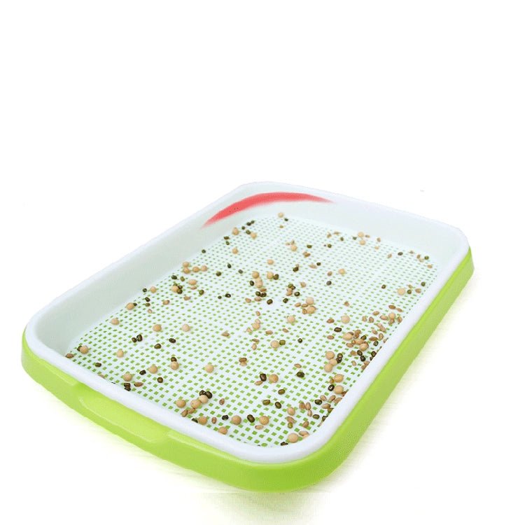 ថាសបណ្តុះគ្រាប់ពូជហាយដ្រូផូនិក for faster gowth, and smart tools in Cambodia