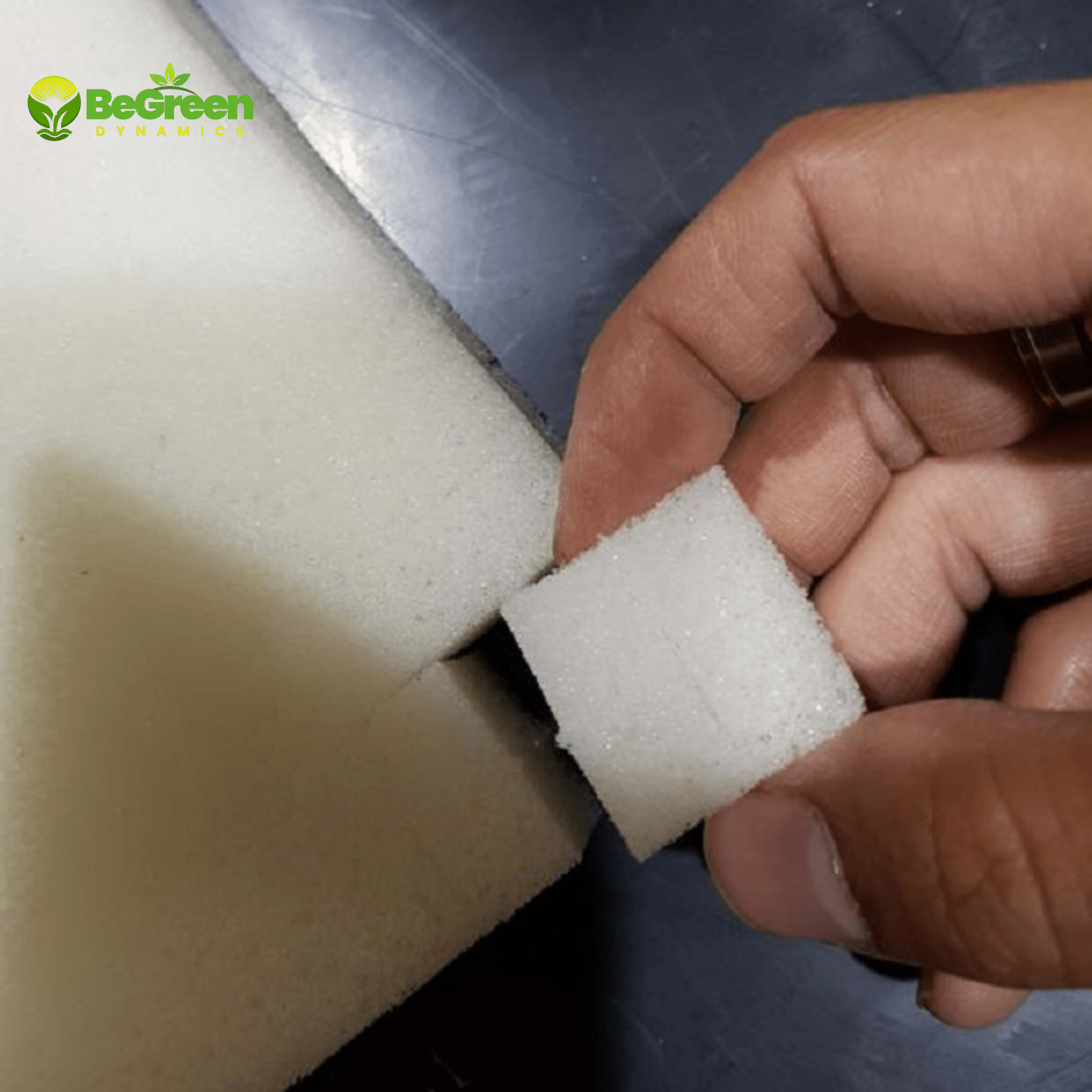 អេប៉ុងដាំលើទឹក for faster gowth, and smart tools in Cambodia