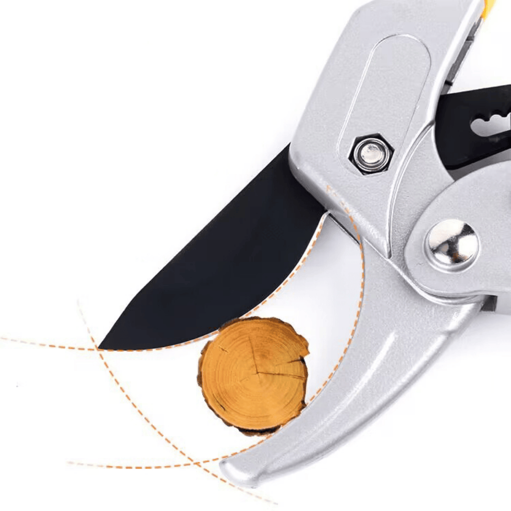 កន្ត្រៃកាត់មែកឈេី ផ្ការ បន្លែ សម្រាប់មែករឹង for faster gowth, and smart tools in Cambodia