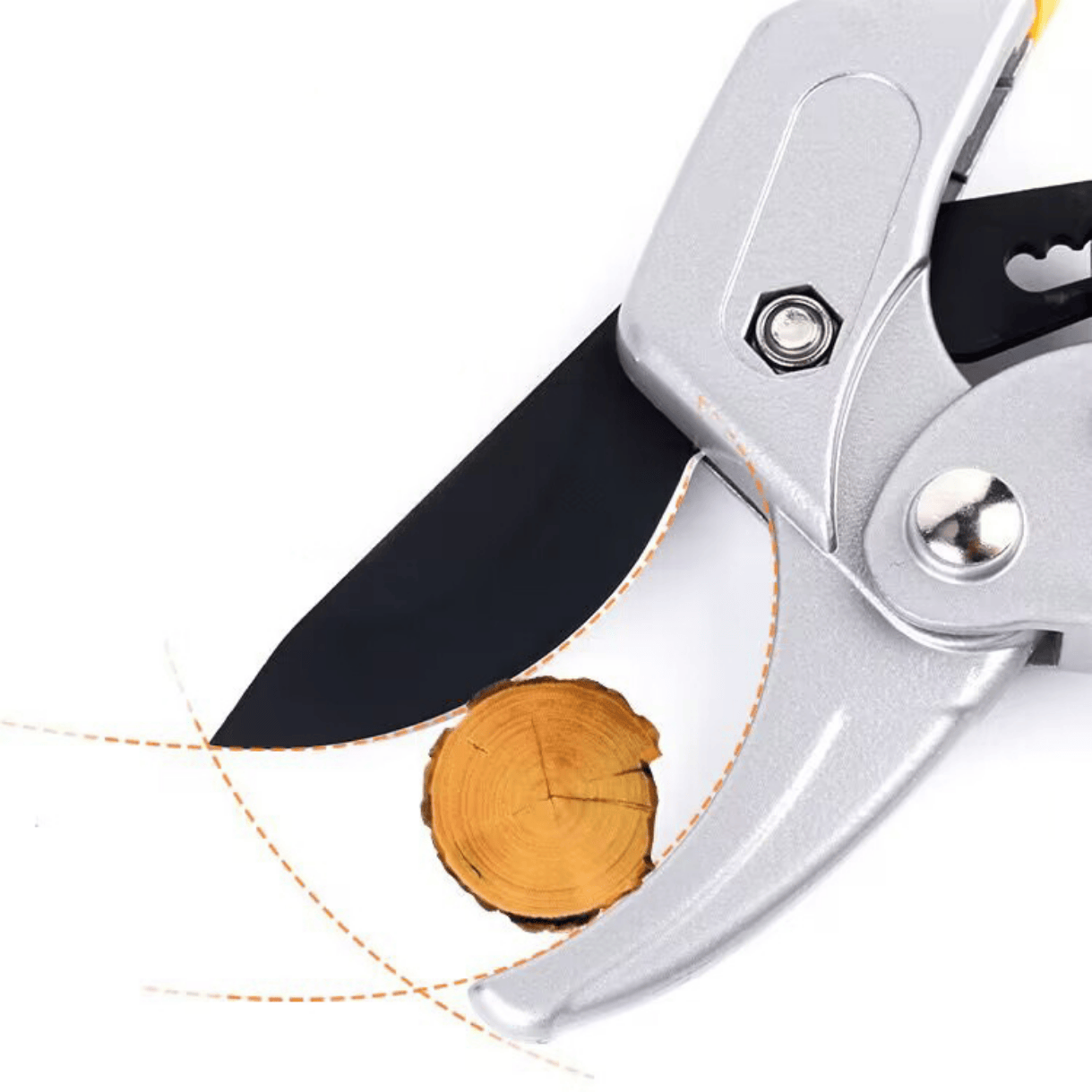 កន្ត្រៃកាត់មែកឈេី ផ្ការ បន្លែ សម្រាប់មែករឹង for faster gowth, and smart tools in Cambodia