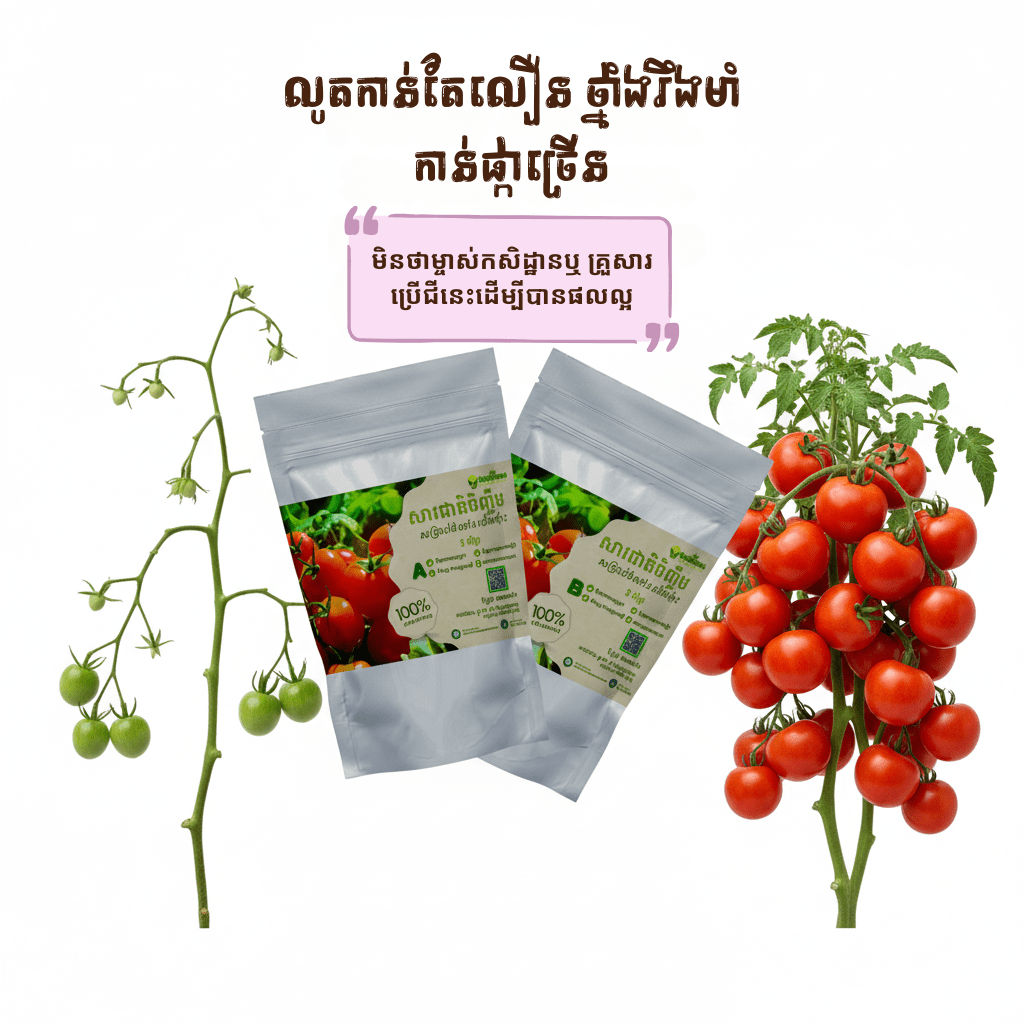 ជីអាបេ ដាំបន្លែលើទឹក សម្រាប់ ប៉េងប៉ោះ for faster gowth, and smart tools in Cambodia