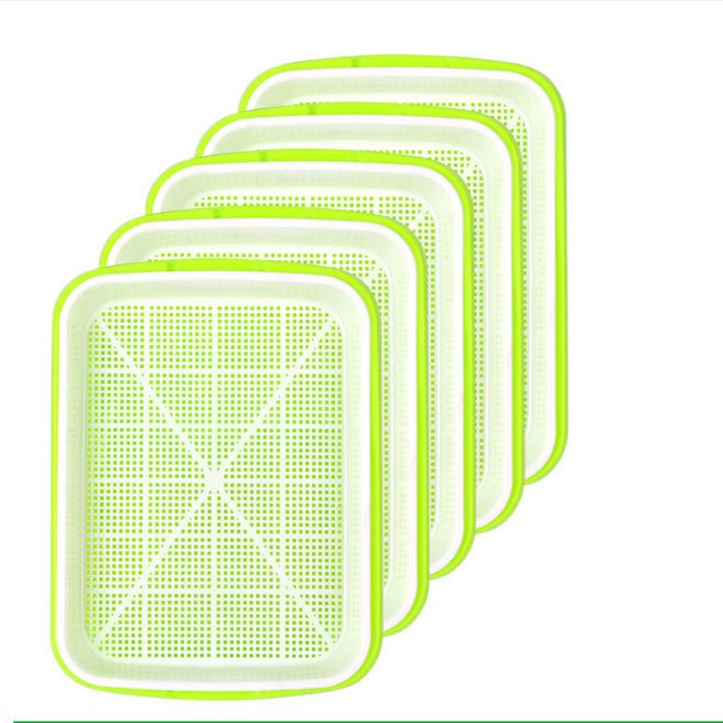 ថាសបណ្តុះគ្រាប់ពូជហាយដ្រូផូនិក for faster gowth, and smart tools in Cambodia