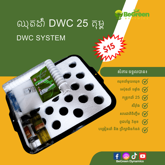 ប្រព័ន្ធដំណាំ DWC 25 រន្ធ