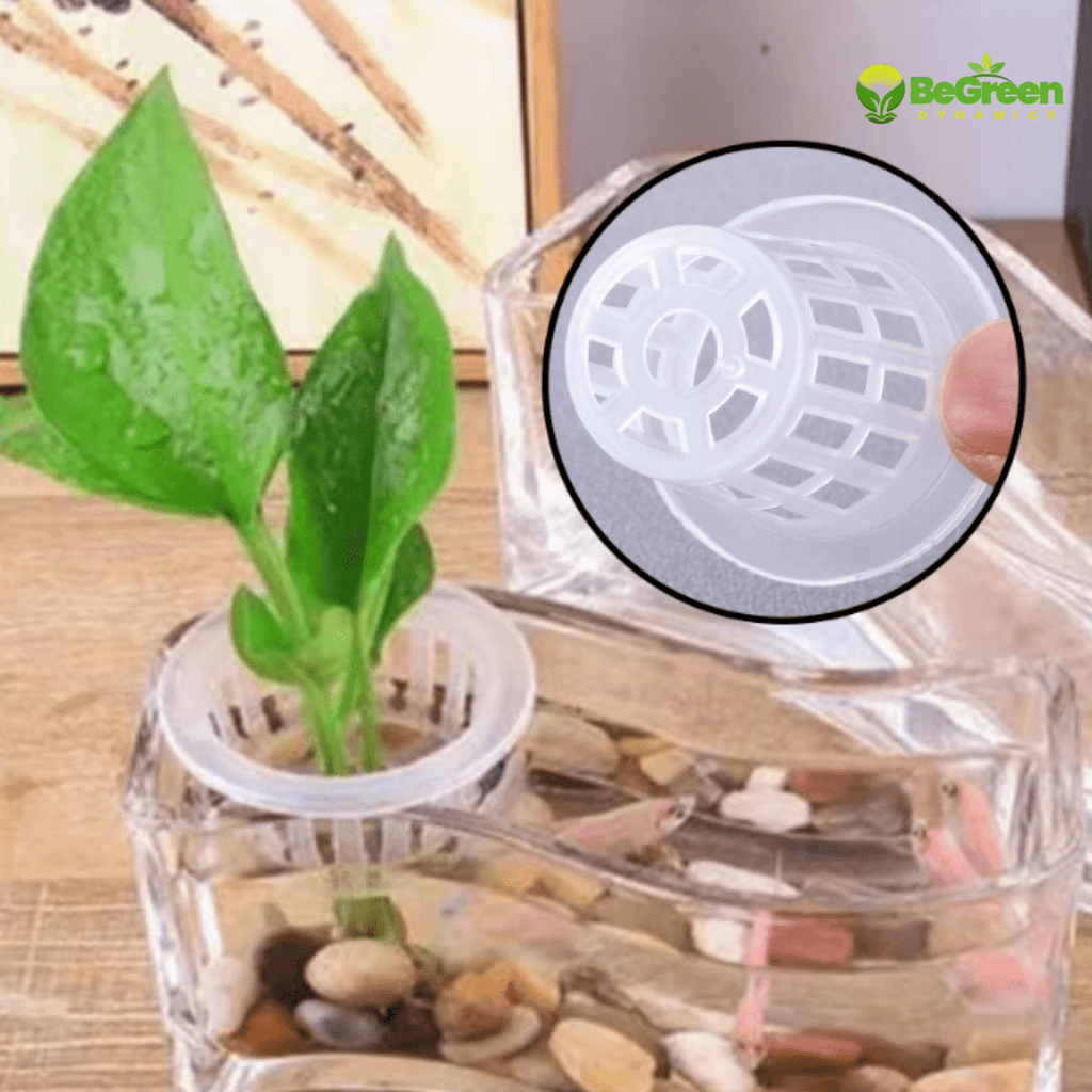 កន្រ្តកដាំបន្លែលើទឹក Hydroponic Net Pot 5cm for faster gowth, and smart tools in Cambodia