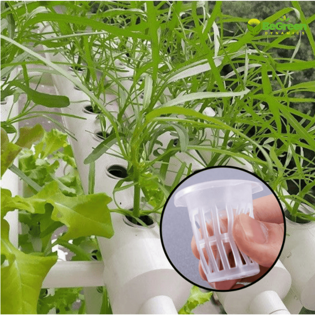 កន្រ្តកដាំបន្លែលើទឹក Hydroponic Net Pot 5cm for faster gowth, and smart tools in Cambodia