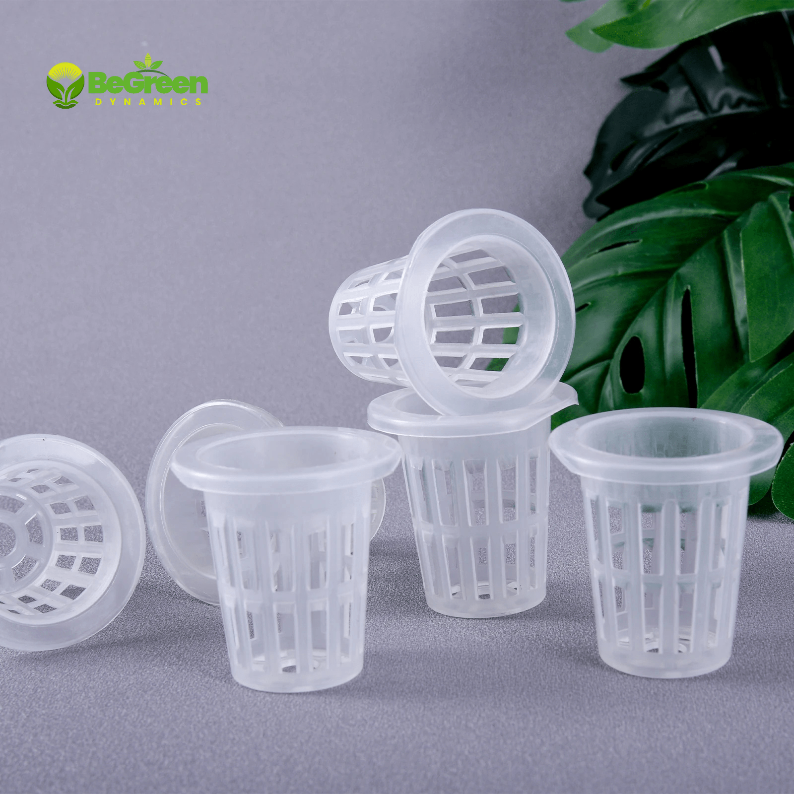 កន្រ្តកដាំបន្លែលើទឹក Hydroponic Net Pot 5cm for faster gowth, and smart tools in Cambodia