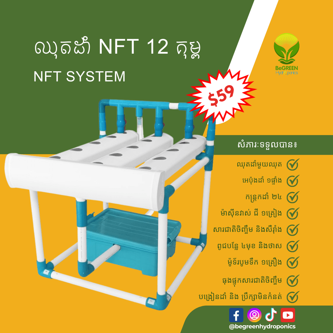 ប្រព័ន្ធដំណាំ NFT 12 រន្ធ (មានធុង ម៉ូទ័រ ) for faster gowth, and smart tools in Cambodia