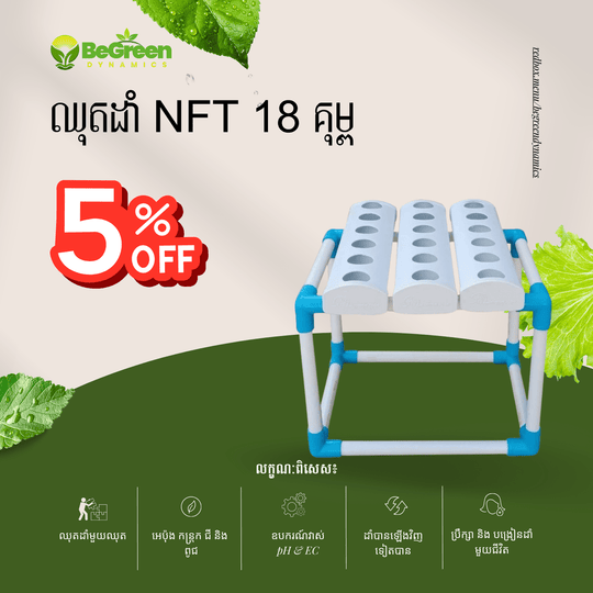 ប្រព័ន្ធដាំបន្លែ NFT 18 គុម្ព សម្រាប់ ដាំនៅផ្ទះ និង អ្នកចូលចិត្តដាំបន្លែសុវត្ថិភាព