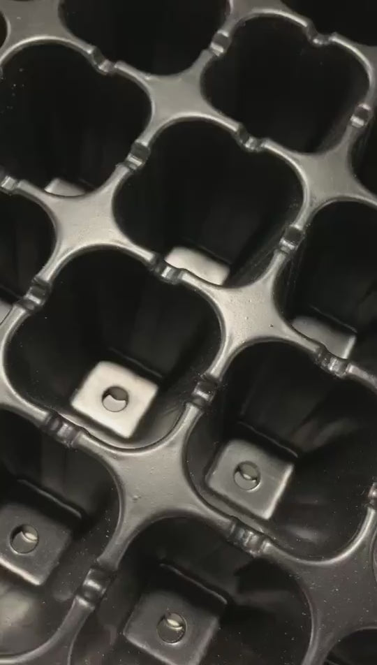 ត្រេយ៍បណ្តុះដំណាំ