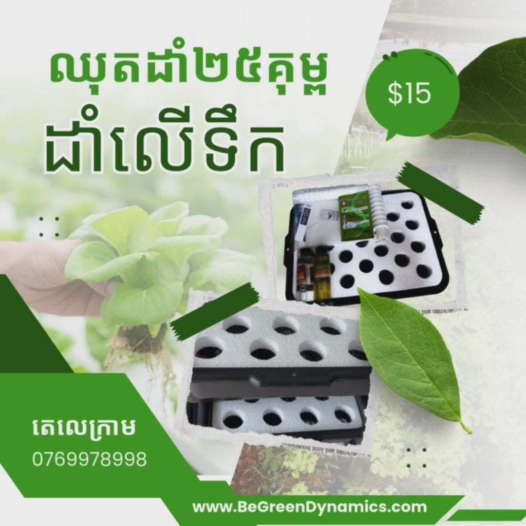 ប្រព័ន្ធដាំដំណាំ DWC 25 រន្ធ
