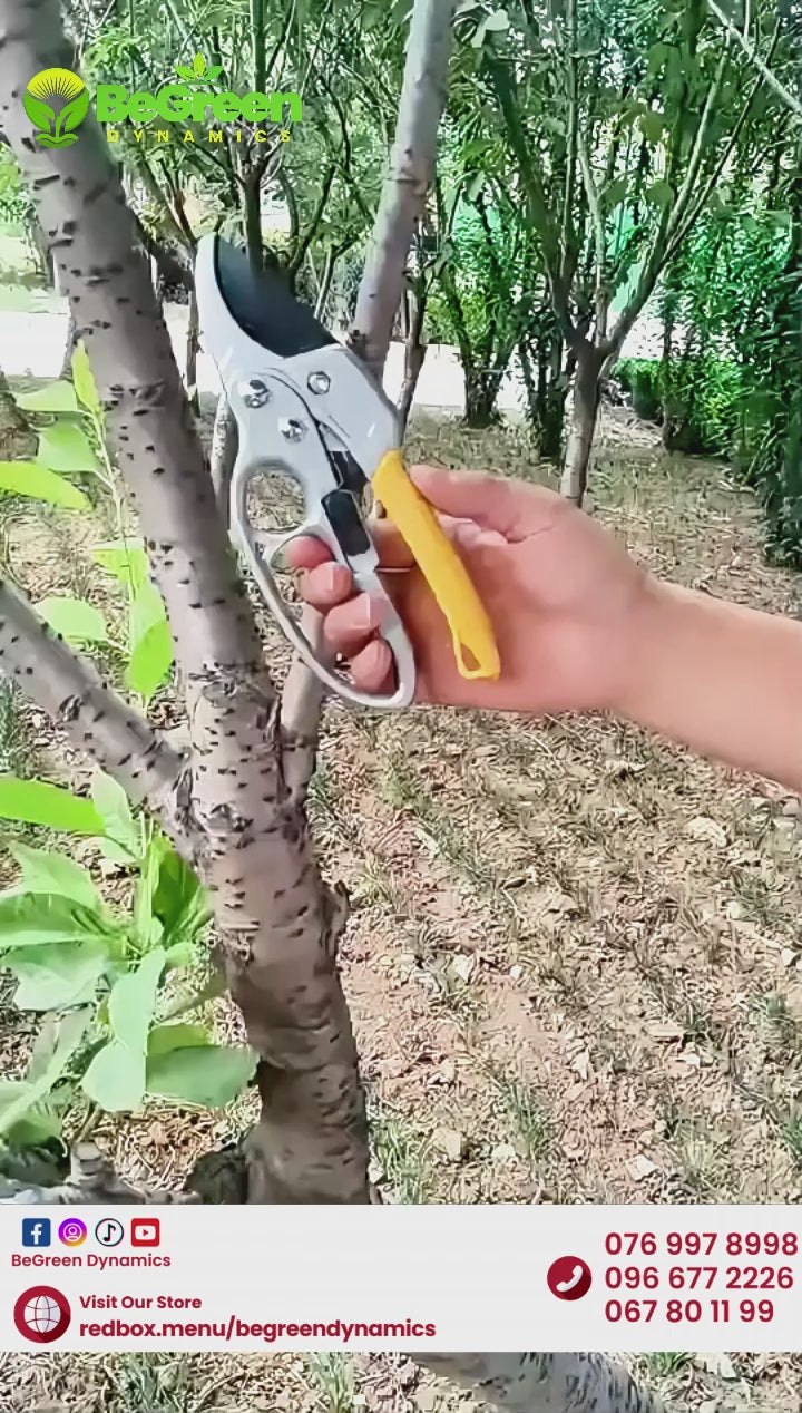 កន្ត្រៃកាត់មែកឈេី ផ្ការ បន្លែ សម្រាប់មែករឹង